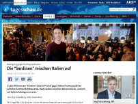 Bild zum Artikel: Bewegung gegen Rechtspopulismus: 'Sardinen' mischen Italien auf