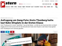 Bild zum Artikel: Bild auf 'überfülltem Zug': Aufregung um Gang-Foto: Greta Thunberg hatte laut Bahn Sitzplatz in der Ersten Klasse
