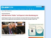 Bild zum Artikel: AfD lädt Homo-'Heiler' als Experte in den Bundestag ein
