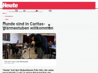 Bild zum Artikel: Hunde sind in Caritas-Wärmestuben willkommen