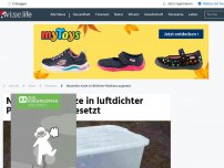 Bild zum Artikel: Neustrelitz: Katze in luftdichter Plastikbox ausgesetzt