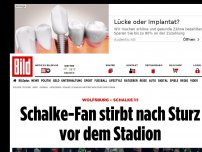 Bild zum Artikel: Schock während des Spiels - Schalke-Fan stirbt am Stadion
