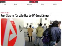 Bild zum Artikel: Frei-Strom für alle Hartz-IV-Empfänger!