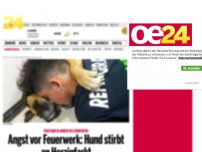 Bild zum Artikel: Angst vor Feuerwerk: Hund stirbt an Herzinfarkt