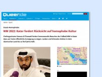 Bild zum Artikel: WM 2022: Katar fordert Rücksicht auf homophobe Kultur