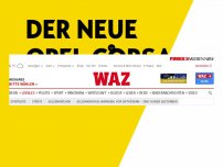 Bild zum Artikel: Tierquälerei: Gelsenkirchen: Warnung vor Giftködern – zwei Hunde gestorben