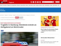 Bild zum Artikel: Hamburg - Tragödie in Hamburg: Am Heiligen Abend: Kleinkind erstickt an Weintraube