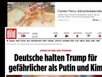 Bild zum Artikel: Sorge um den Weltfrieden - Deutsche halten Trump für gefährlicher als Putin und Kim