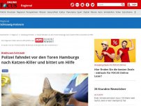 Bild zum Artikel: Diekhusen-Fahrstedt - Katzen-Killer: Tödliche Schüsse auf Hauskatze – Polizei bittet um Hilfe