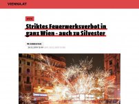 Bild zum Artikel: Striktes Feuerwerksverbot in ganz Wien - auch zu Silvester