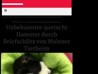 Bild zum Artikel: Unbekannter quetscht Hamster durch Briefschlitz von Mainzer Tierheim