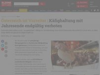 Bild zum Artikel: Käfighaltung mit Jahresende endgültig verboten