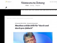 Bild zum Artikel: Alternative für Deutschland: Meuthen erklärt AfD für 'durch und durch pro-jüdisch'