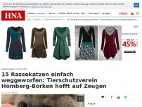 Bild zum Artikel: 15 Edelkatzen weggeworfen: Tierschutzverein Homberg-Borken hofft auf Zeugen