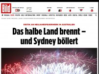 Bild zum Artikel: Kritik an Pyro-Show in Australien - Das halbe Land brennt – und Sydney böllert