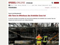 Bild zum Artikel: Feuer in der Silvesternacht: Alle Tiere im Affenhaus des Krefelder Zoos tot
