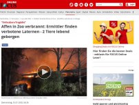 Bild zum Artikel: 'Unfassbare Tragödie' - Silvester-Drama im Krefelder Zoo: Alle Affen verbrennen im Gehege