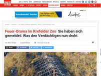Bild zum Artikel: Feuer im Krefelder Zoo : Affenhaus abgebrannt – Schicksal der Tiere unklar