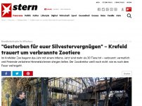 Bild zum Artikel: Brandkatastrophe im Affenhaus: 'Gestorben für euer Silvestervergnügen' – Krefeld trauert um verbrannte Zootiere