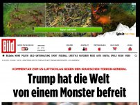 Bild zum Artikel: Kommentar zum US-Luftschlag - Trump hat die Welt von einem Monster befreit