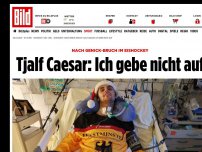 Bild zum Artikel: Nach Genick-Bruch im Eishockey - Tjalf Caesar: Ich gebe nicht auf