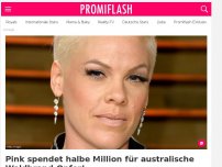 Bild zum Artikel: Pink spendet halbe Million für australische Waldbrand-Opfer!