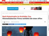 Bild zum Artikel: Nach Katastrophe im Krefelder Zoo: Himmelslaternen-Firma verhöhnt die toten Affen