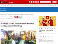Bild zum Artikel: Remscheid - „Erinnert ein bisschen an Krefeld”: Feuer in Remscheider Tierhandlung ausgebrochen