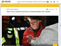 Bild zum Artikel: Viele Kleintiere tot: Feuer zerstört Zoo-Markt in Remscheid