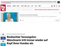 Bild zum Artikel: Beobachter fassungslos: Münchnerin tritt immer wieder auf Kopf ihres Hundes ein