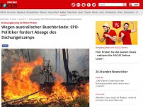 Bild zum Artikel: Dschungelcamp im News-Ticker - Wegen australischer Buschbrände: SPD-Politiker fordert Absage des Dschungelcamps