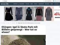 Bild zum Artikel: Ehingen: Igel in Skate-Park mit Böllern gesprengt - Wer tut so etwas?