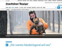 Bild zum Artikel: „Die warten händeringend auf uns“: Leverkusener fliegt zur Tierrettung nach Australien