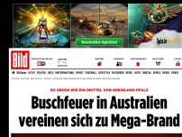 Bild zum Artikel: 600 000 Hektar! - Feuer in Australien vereinen sich zu Mega-Brand