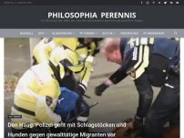 Bild zum Artikel: Den Haag: Polizei geht mit Schlagstöcken und Hunden gegen gewalttätige Migranten vor