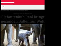 Bild zum Artikel: Große Freude im Leipziger Zoo