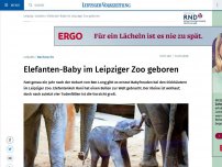 Bild zum Artikel: Elefanten-Baby im Leipziger Zoo geboren