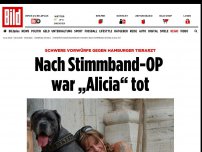 Bild zum Artikel: Vorwürfe gegen Tierarzt - Nach Stimmband-OP war Alicia tot