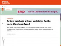 Bild zum Artikel: Brand im Affenhaus im Zoo Krefeld: Polizist erschoss schwer verletzten Gorilla