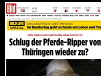 Bild zum Artikel: Zwei Tiere in Hals gestochen - Schlug der Pferde-Ripper von Thüringen wieder zu?