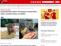 Bild zum Artikel: Anweisung aus 2018 - Einsatzkräfte sollen Tierbabys in Australien töten, anstatt ihnen zu helfen