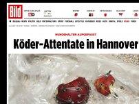 Bild zum Artikel: Hundehalter aufgepasst - Köder-Attentate in Hannover