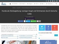 Bild zum Artikel: Hunde als Sterbegleitung: weniger Angst und Schmerzen durch tierische Liebe