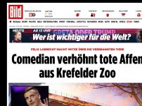 Bild zum Artikel: Felix Lobrecht macht Witze über verbrannte Tiere - Comedian verhöhnt tote Affen aus Krefelder Zoo