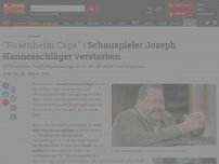 Bild zum Artikel: Schauspieler Joseph Hannesschläger verstorben