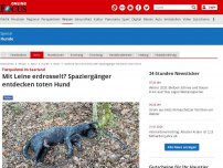 Bild zum Artikel: Tierquälerei im Saarland - Mit Leine erdrosselt? Spaziergänger entdecken toten Hund
