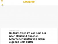Bild zum Artikel: Sudan: Löwen im Zoo sind nur noch Haut und Knochen – Mitarbeiter kaufen von ihrem eigenen Geld Futter