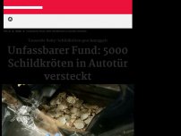 Bild zum Artikel: Illegal geschmuggelt