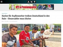 Bild zum Artikel: Kosten für Asylbewerber treiben Deutschland in den Ruin – Steuerzahler muss bluten