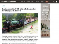 Bild zum Artikel: Konkurrenz für ÖBB: Liliputbahn startet Nachtzug nach Brüssel
